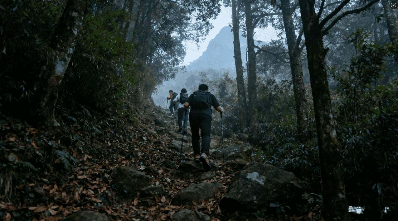 如何安装和配置浏览器加速器风驰提高访问速度